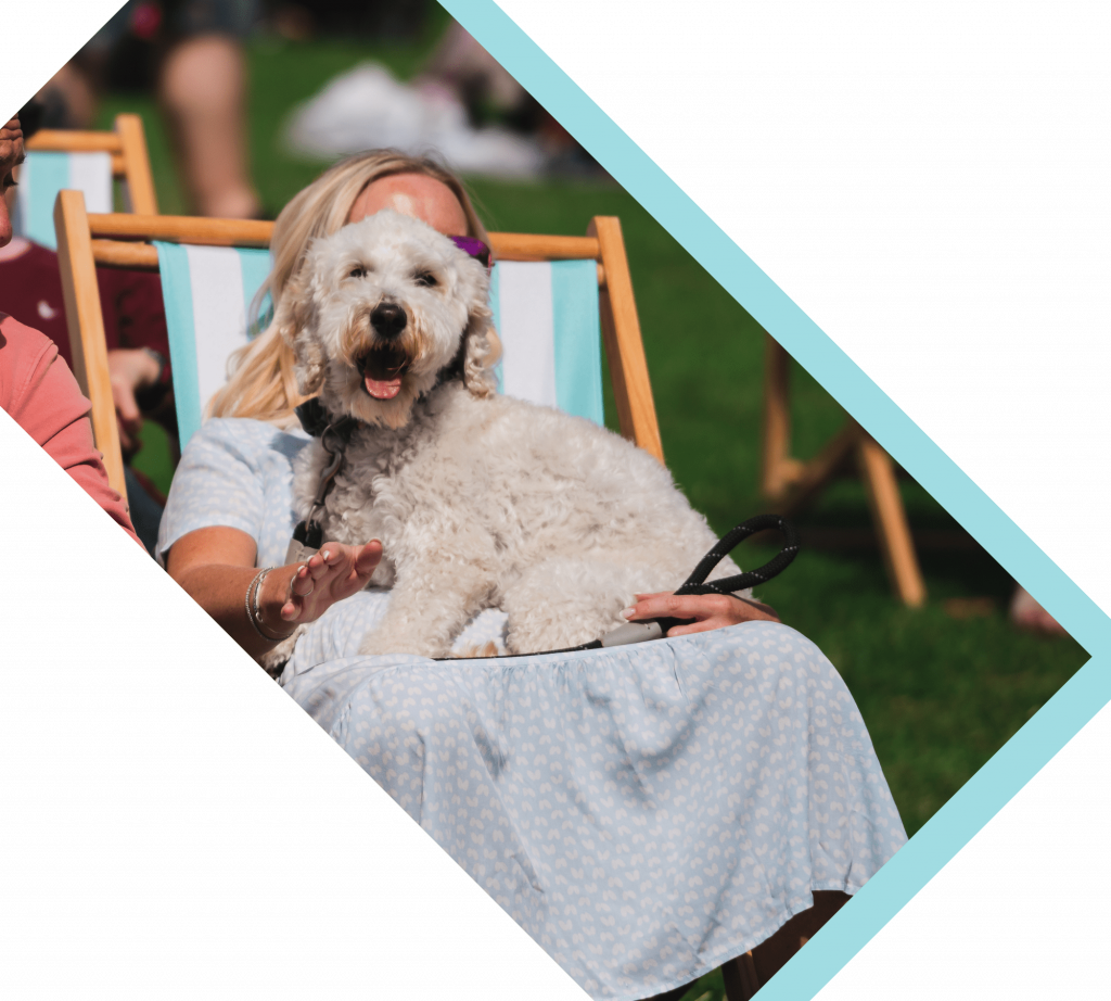 Dog friendly and plenty of deckchairs to relax in and listen to live music all day long and tasting delicious international street food